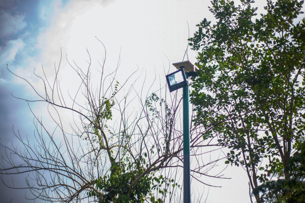 The Benefits of Solar-Powered Street Lights in promoting sustainability.