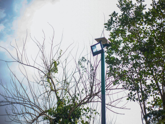 The Benefits of Solar-Powered Street Lights in promoting sustainability.